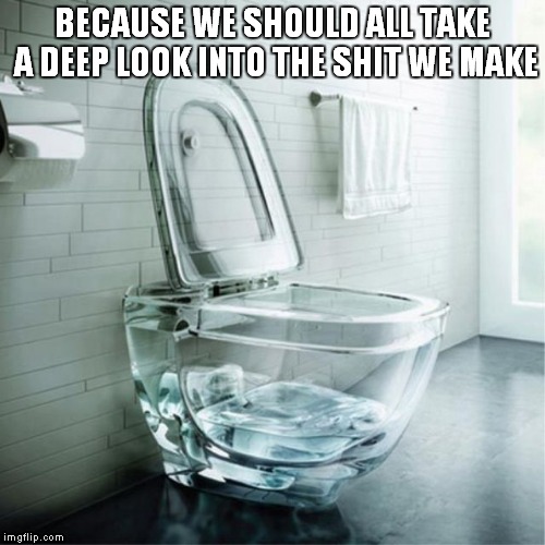 glass toilet bowl | BECAUSE WE SHOULD ALL TAKE A DEEP LOOK INTO THE SHIT WE MAKE | image tagged in glass toilet bowl | made w/ Imgflip meme maker