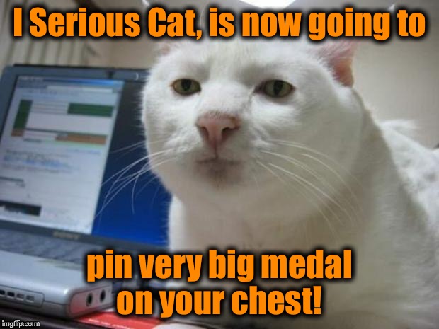 Serious Cat | I Serious Cat, is now going to pin very big medal on your chest! | image tagged in serious cat | made w/ Imgflip meme maker