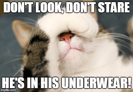 don't look! | DON'T LOOK,DON'T STARE HE'S IN HIS UNDERWEAR! | image tagged in cats | made w/ Imgflip meme maker