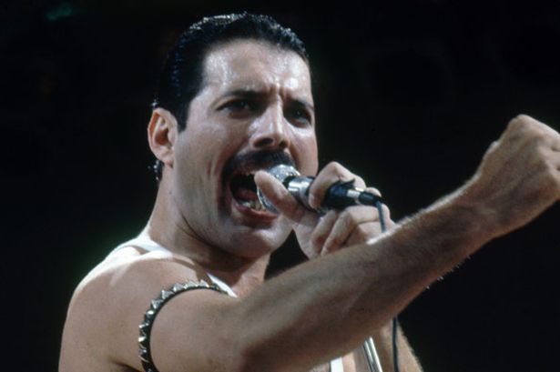 Freddie Mercury Blank Meme Template