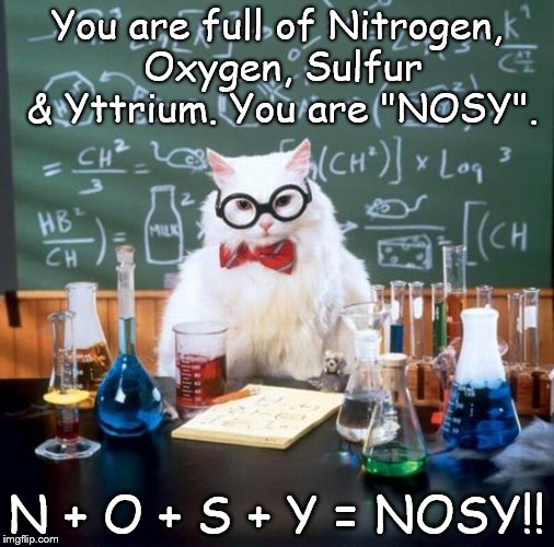 Chemistry Cat | You are full of Nitrogen, Oxygen, Sulfur & Yttrium. You are "NOSY". N + O + S + Y = NOSY!! | image tagged in memes,chemistry cat,nosy,nitrogen,oxygen,sulfur | made w/ Imgflip meme maker