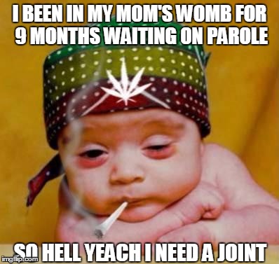 dude i thought it was funny   | I BEEN IN MY MOM'S WOMB FOR 9 MONTHS WAITING ON PAROLE SO HELL YEACH I NEED A JOINT | image tagged in dude i thought it was funny | made w/ Imgflip meme maker