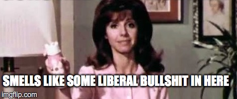 SMELLS LIKE SOME LIBERAL BULLSHIT IN HERE | made w/ Imgflip meme maker
