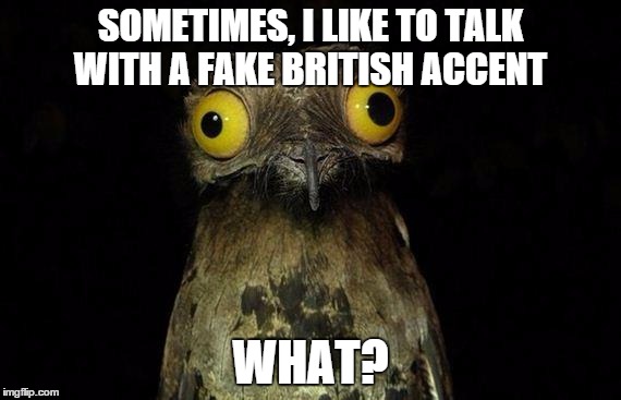 Weird Stuff I Do Potoo Meme | SOMETIMES, I LIKE TO TALK WITH A FAKE BRITISH ACCENT WHAT? | image tagged in memes,weird stuff i do potoo | made w/ Imgflip meme maker