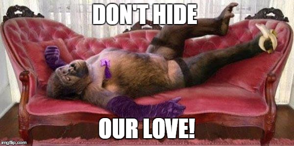 DON'T HIDE OUR LOVE! | made w/ Imgflip meme maker