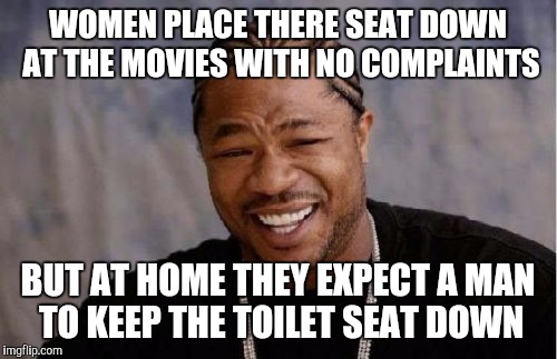 Yo Dawg Heard You | WOMEN PLACE THERE SEAT DOWN AT THE MOVIES WITH NO COMPLAINTS BUT AT HOME THEY EXPECT A MAN TO KEEP THE TOILET SEAT DOWN | image tagged in memes,yo dawg heard you | made w/ Imgflip meme maker