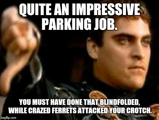 Downvoting Roman Meme | QUITE AN IMPRESSIVE PARKING JOB. YOU MUST HAVE DONE THAT BLINDFOLDED,  WHILE CRAZED FERRETS ATTACKED YOUR CROTCH. | image tagged in memes,downvoting roman | made w/ Imgflip meme maker