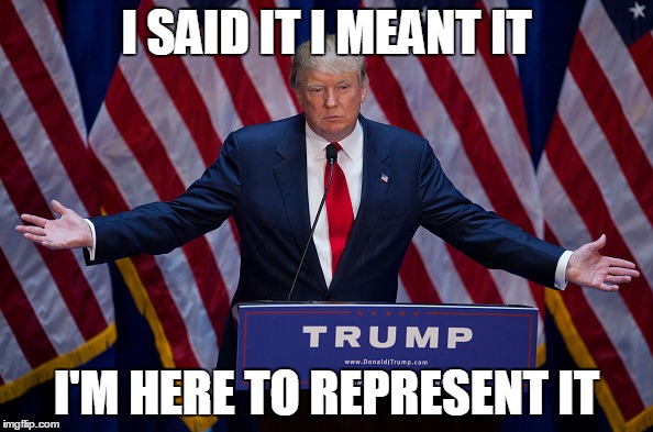 Donald Trump | I SAID IT I MEANT IT I'M HERE TO REPRESENT IT | image tagged in donald trump | made w/ Imgflip meme maker