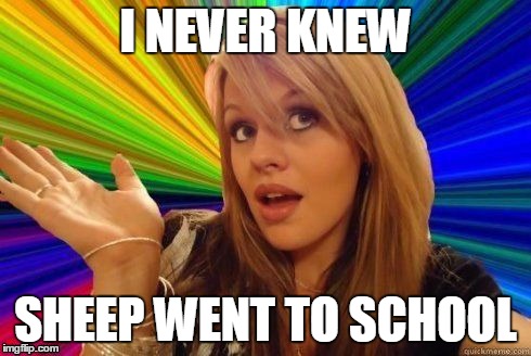 I NEVER KNEW SHEEP WENT TO SCHOOL | made w/ Imgflip meme maker