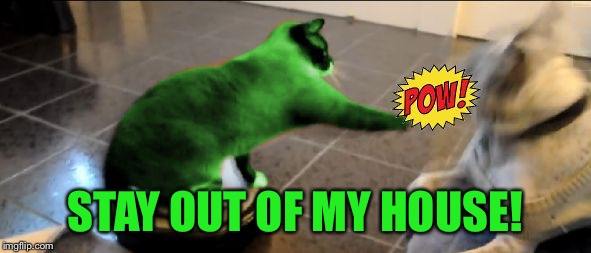 RayCat Roomba | STAY OUT OF MY HOUSE! | image tagged in raycat roomba | made w/ Imgflip meme maker