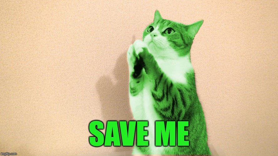 RayCat Pray | SAVE ME | image tagged in raycat pray | made w/ Imgflip meme maker