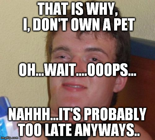 10 Guy Meme | THAT IS WHY, I, DON'T OWN A PET NAHHH...IT'S PROBABLY TOO LATE ANYWAYS.. OH...WAIT....OOOPS... | image tagged in memes,10 guy | made w/ Imgflip meme maker