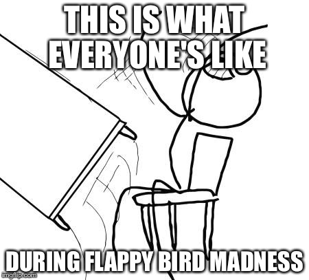 Table Flip Guy | THIS IS WHAT EVERYONE'S LIKE DURING FLAPPY BIRD MADNESS | image tagged in memes,table flip guy | made w/ Imgflip meme maker