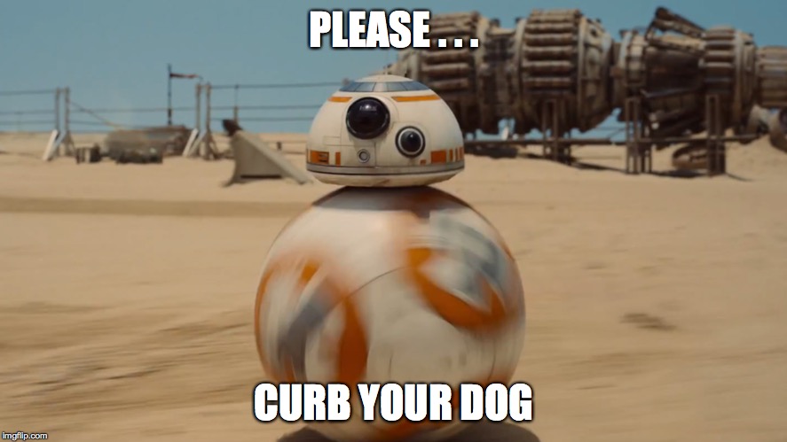 bb8 | PLEASE . . . CURB YOUR DOG | image tagged in bb8 | made w/ Imgflip meme maker