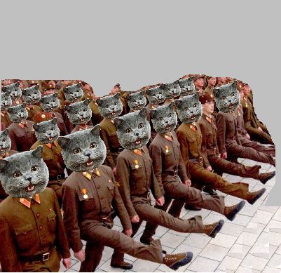 Cat army Blank Meme Template