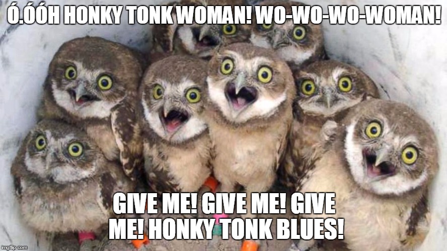 The choir! | Ó.ÓÓH HONKY TONK WOMAN! WO-WO-WO-WOMAN! GIVE ME! GIVE ME! GIVE ME! HONKY TONK BLUES! | image tagged in owl,choir,singing | made w/ Imgflip meme maker