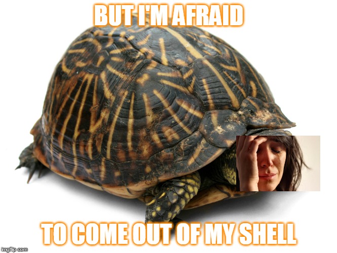 BUT I'M AFRAID TO COME OUT OF MY SHELL | made w/ Imgflip meme maker