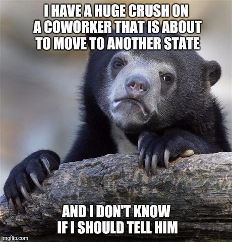 He probably doesn't even acknowledge my existence  | I HAVE A HUGE CRUSH ON A COWORKER THAT IS ABOUT TO MOVE TO ANOTHER STATE AND I DON'T KNOW IF I SHOULD TELL HIM | image tagged in memes,confession bear | made w/ Imgflip meme maker