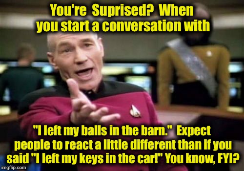 Random thought #385 | You're  Suprised?  When you start a conversation with "I left my balls in the barn."  Expect people to react a little different than if you  | image tagged in memes,picard wtf | made w/ Imgflip meme maker