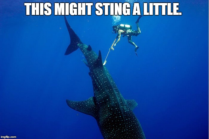 THIS MIGHT STING A LITTLE. | made w/ Imgflip meme maker