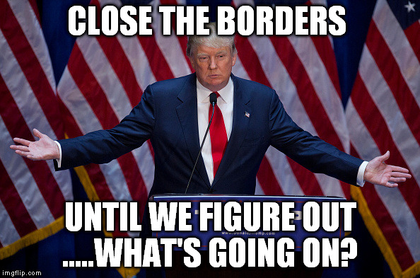 Donald Trump | CLOSE THE BORDERS UNTIL WE FIGURE OUT .....WHAT'S GOING ON? | image tagged in donald trump | made w/ Imgflip meme maker