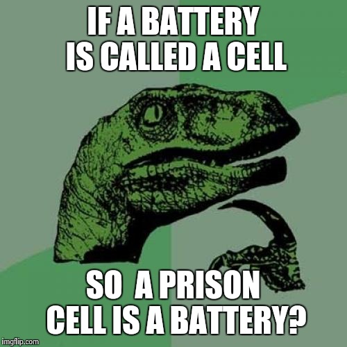 Philosoraptor Meme | IF A BATTERY IS CALLED A CELL SO  A PRISON CELL IS A BATTERY? | image tagged in memes,philosoraptor | made w/ Imgflip meme maker