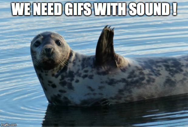 Seal | WE NEED GIFS WITH SOUND ! | image tagged in seal | made w/ Imgflip meme maker