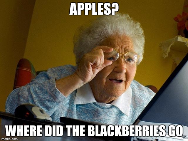 Everybody go look at camelduck and garinmouat | APPLES? WHERE DID THE BLACKBERRIES GO | image tagged in memes,grandma finds the internet | made w/ Imgflip meme maker