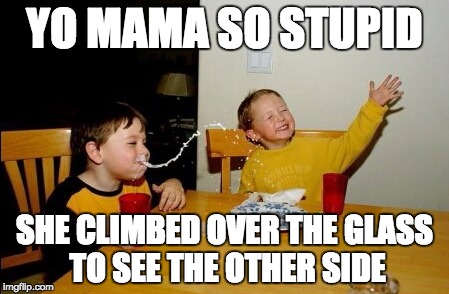 Yo Mamas So Fat | YO MAMA SO STUPID SHE CLIMBED OVER THE GLASS TO SEE THE OTHER SIDE | image tagged in memes,yo mamas so fat | made w/ Imgflip meme maker