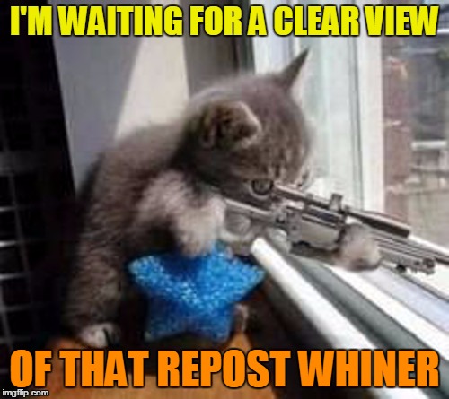Say that this is a repost again, I dare you... | I'M WAITING FOR A CLEAR VIEW OF THAT REPOST WHINER | image tagged in sniper cat 500px wide,memes,sniper cat | made w/ Imgflip meme maker