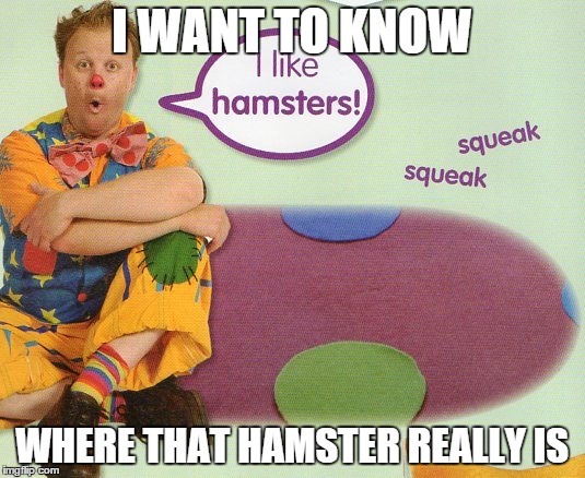 I Want To Know Where That Hamster Really Is | I WANT TO KNOW WHERE THAT HAMSTER REALLY IS | image tagged in memes | made w/ Imgflip meme maker