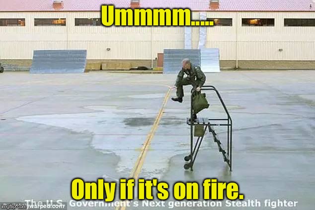 Ummmm..... Only if it's on fire. | image tagged in stealth jet | made w/ Imgflip meme maker