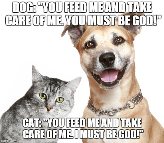 DOG: "YOU FEED ME AND TAKE CARE OF ME. YOU MUST BE GOD!" CAT: "YOU FEED ME AND TAKE CARE OF ME. I MUST BE GOD!" | image tagged in meme,cat,dog | made w/ Imgflip meme maker