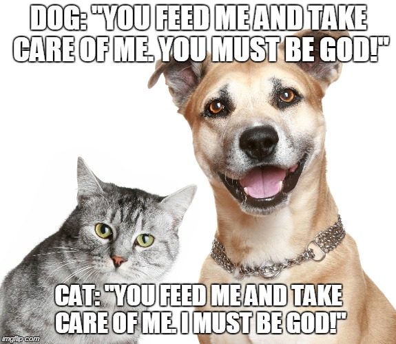 Image ged In Meme Cat Dog Imgflip