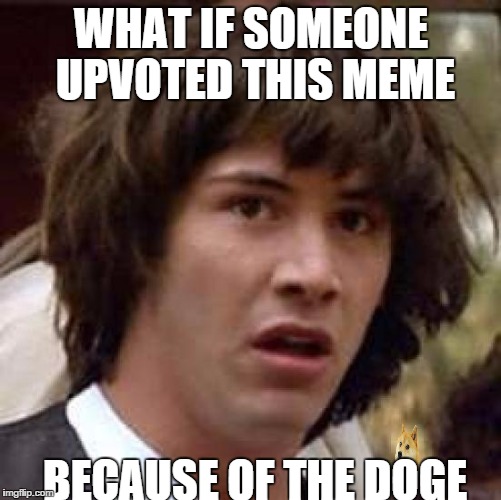 Conspiracy Keanu | WHAT IF SOMEONE UPVOTED THIS MEME BECAUSE OF THE DOGE | image tagged in memes,conspiracy keanu | made w/ Imgflip meme maker