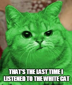 RayCat Annoyed | THAT'S THE LAST TIME I LISTENED TO THE WHITE CAT | image tagged in raycat annoyed | made w/ Imgflip meme maker