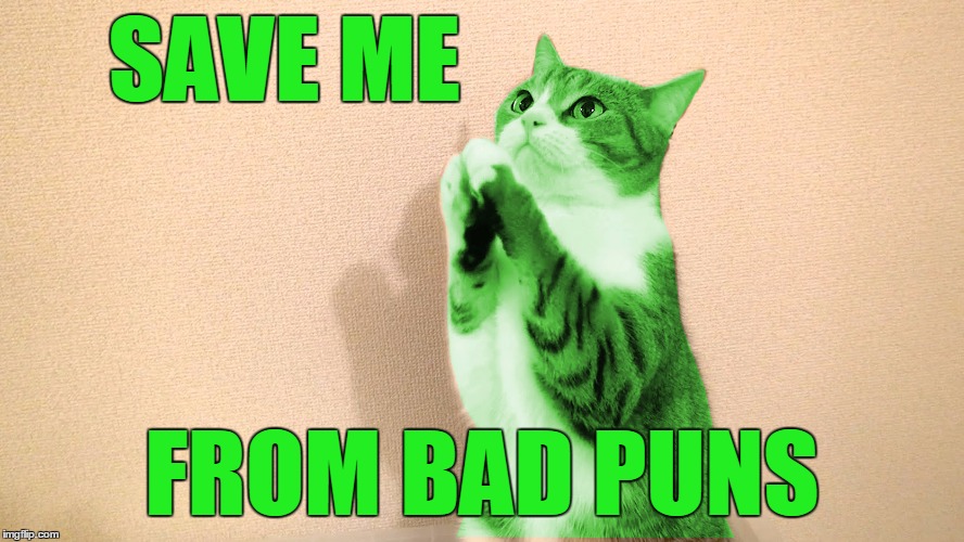 RayCat Pray | SAVE ME FROM BAD PUNS | image tagged in raycat pray | made w/ Imgflip meme maker