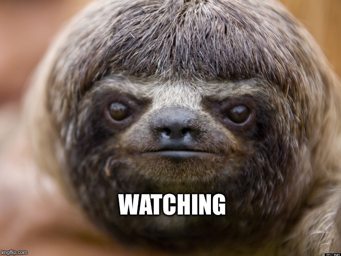 Sloth | WATCHING | image tagged in sloth | made w/ Imgflip meme maker