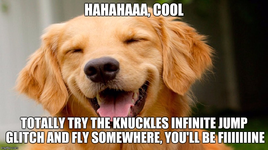 Laughing Dog | HAHAHAAA, COOL TOTALLY TRY THE KNUCKLES INFINITE JUMP GLITCH AND FLY SOMEWHERE, YOU'LL BE FIIIIIIINE | image tagged in laughing dog | made w/ Imgflip meme maker