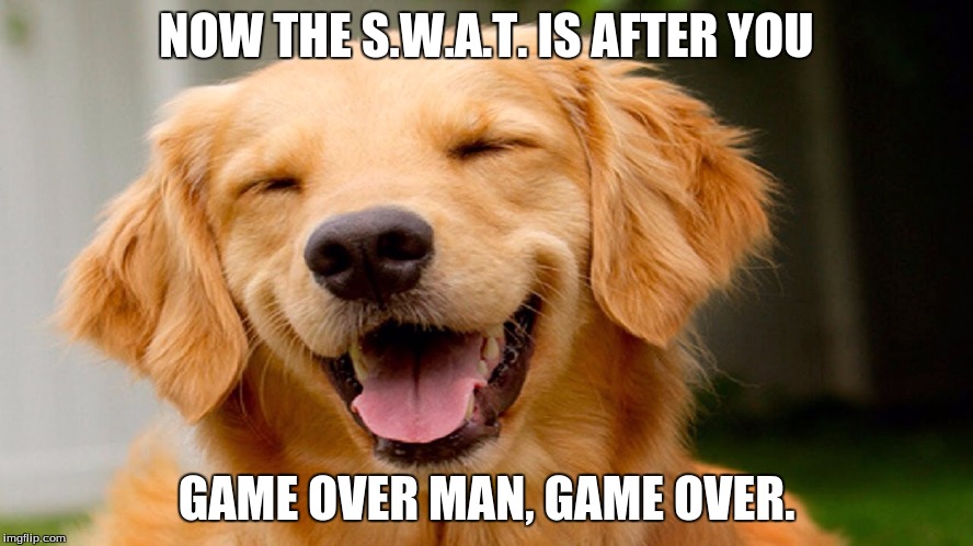 Laughing Dog | NOW THE S.W.A.T. IS AFTER YOU GAME OVER MAN, GAME OVER. | image tagged in laughing dog | made w/ Imgflip meme maker