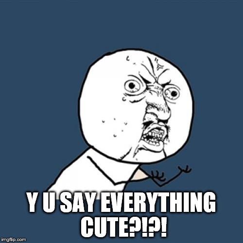 y u  | Y U SAY EVERYTHING CUTE?!?! | image tagged in memes,y u no | made w/ Imgflip meme maker