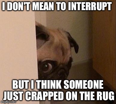 Pugsy | I DON'T MEAN TO INTERRUPT BUT I THINK SOMEONE JUST CRAPPED ON THE RUG | image tagged in pugsy | made w/ Imgflip meme maker