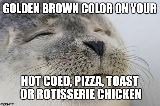 Satisfied Seal | GOLDEN BROWN COLOR ON YOUR HOT COED, PIZZA, TOAST OR ROTISSERIE CHICKEN | image tagged in memes,satisfied seal | made w/ Imgflip meme maker