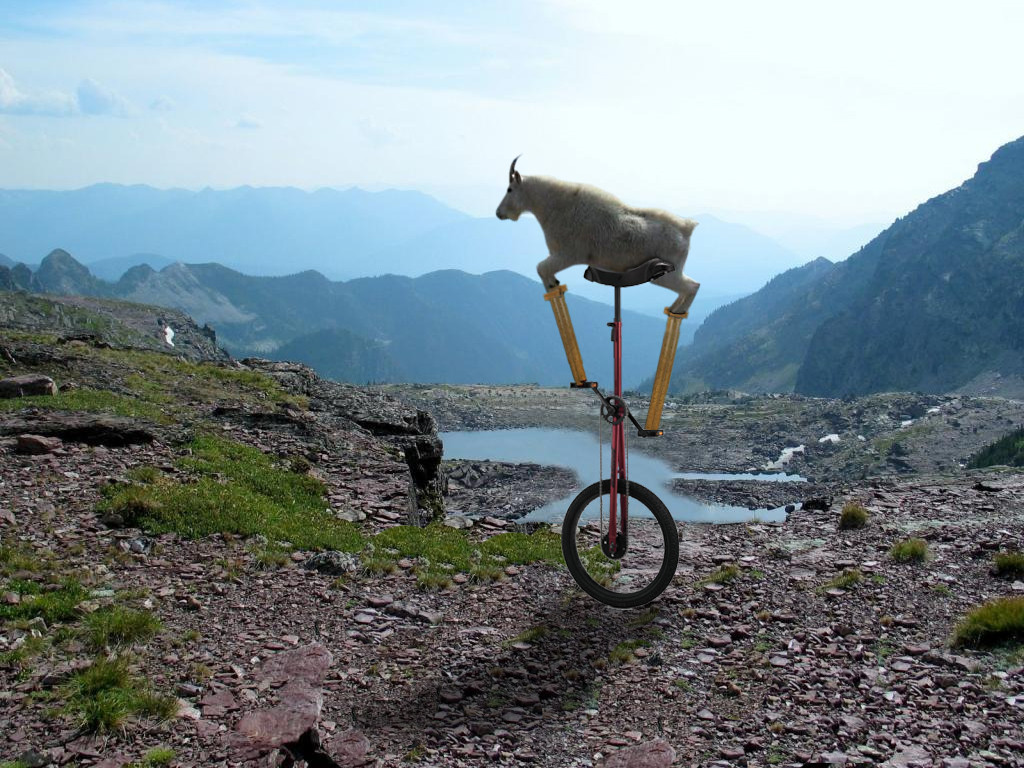 Goat on a unicycle Blank Meme Template