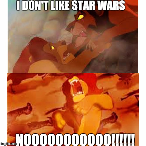 How people act when I say I'm not into Star Wars | I DON'T LIKE STAR WARS NOOOOOOOOOOO!!!!!! | image tagged in star wars,the force awakens,star wars the force awakens,the lion king,why so serious,i don't like star wars | made w/ Imgflip meme maker