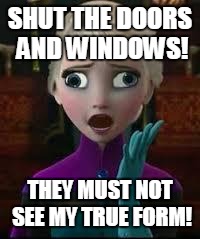 Elsa derped out on drugs | SHUT THE DOORS AND WINDOWS! THEY MUST NOT SEE MY TRUE FORM! | image tagged in elsa derped out on drugs | made w/ Imgflip meme maker