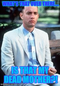 Forest gump | WHAT'S THAT OVER THERE.... IS THAT MY DEAD MOTHER?! | image tagged in forest gump | made w/ Imgflip meme maker