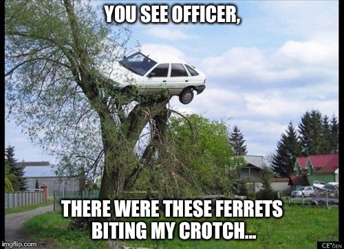 YOU SEE OFFICER, THERE WERE THESE FERRETS BITING MY CROTCH... | made w/ Imgflip meme maker