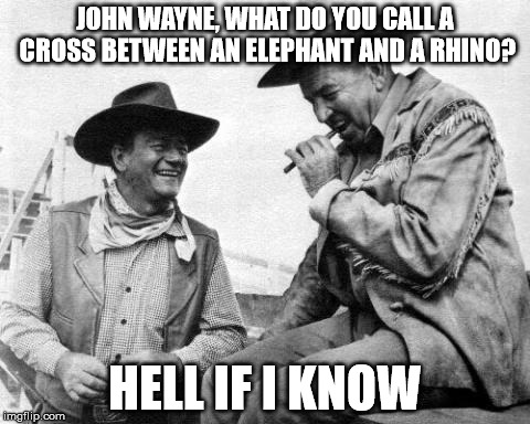 John Wayne Quit Meme | JOHN WAYNE, WHAT DO YOU CALL A CROSS BETWEEN AN ELEPHANT AND A RHINO? HELL IF I KNOW | image tagged in john wayne quit meme | made w/ Imgflip meme maker