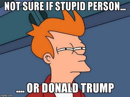 Futurama Fry Meme | NOT SURE IF STUPID PERSON... .... OR DONALD TRUMP | image tagged in memes,futurama fry | made w/ Imgflip meme maker